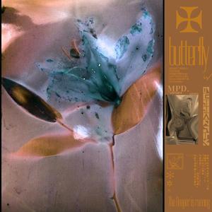 午夜视频在线观看www在线
