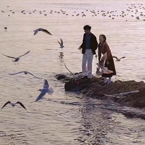 午夜视频在线观看www在线
