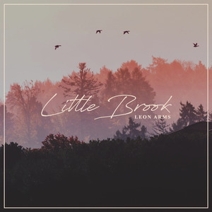 午夜视频在线观看www在线
